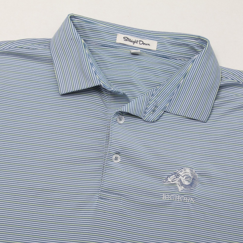 Straight Down Men's XL Blue Green Stripe Bighorn Embroidered Performance Polo